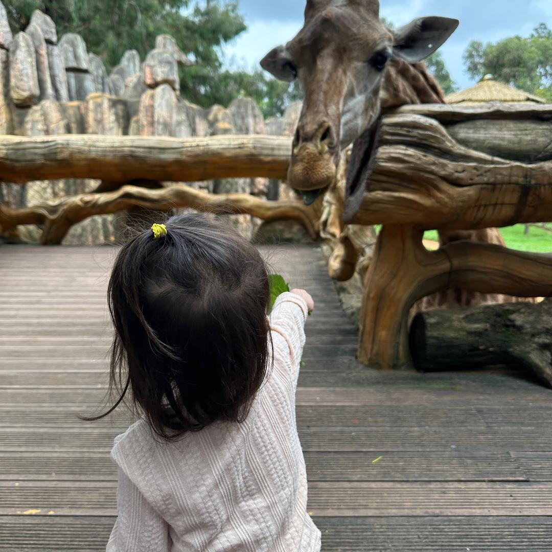 捞起月亮的渔民