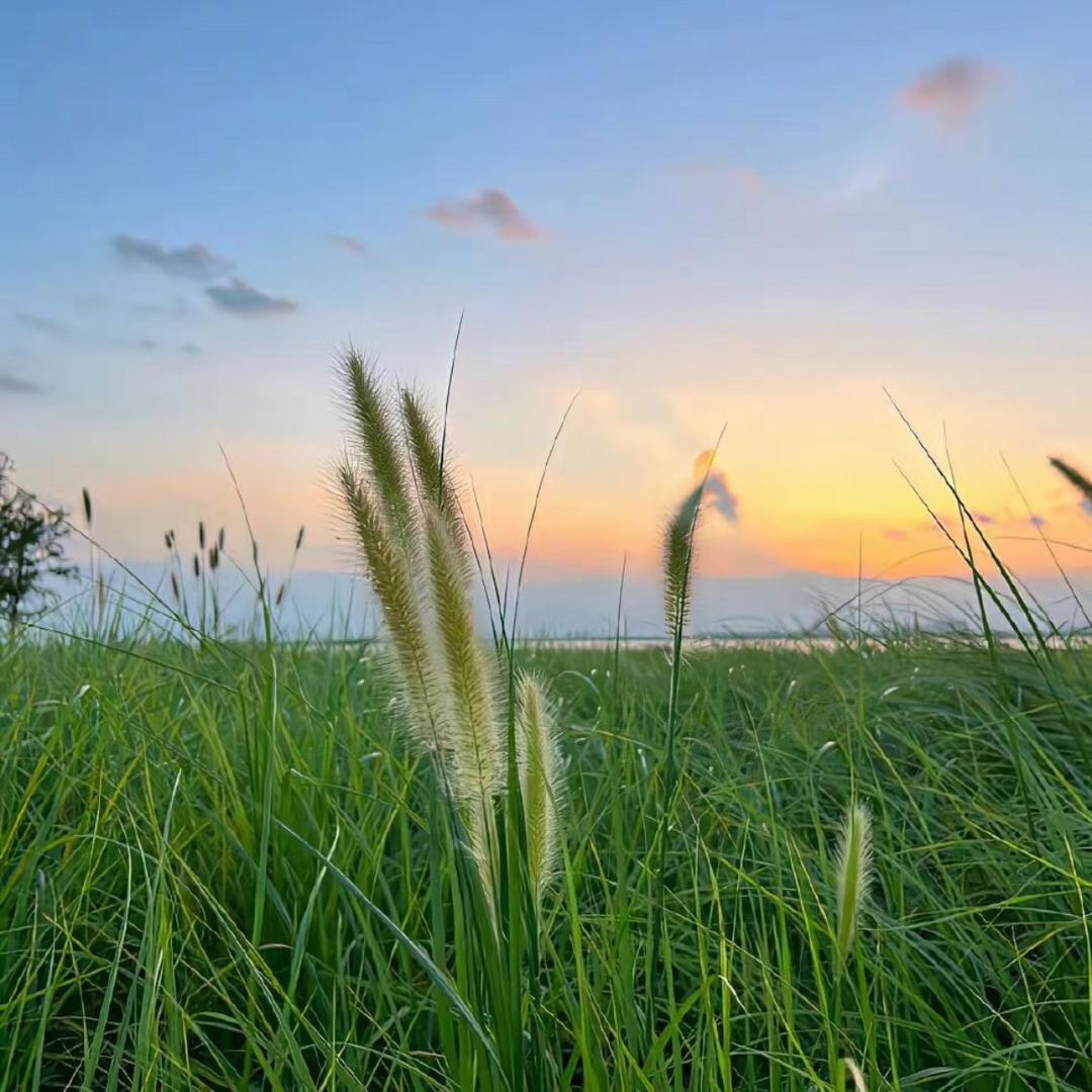 小🦐🌾