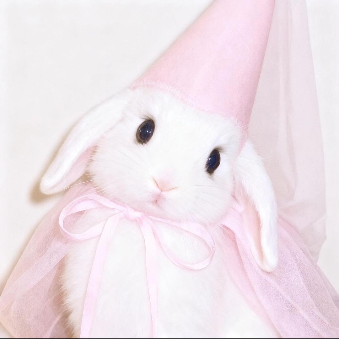 𝗬𝗼𝗶𝗶𝗸𝗹