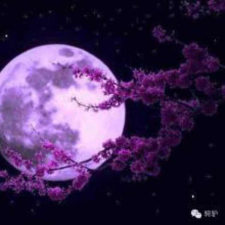 月光