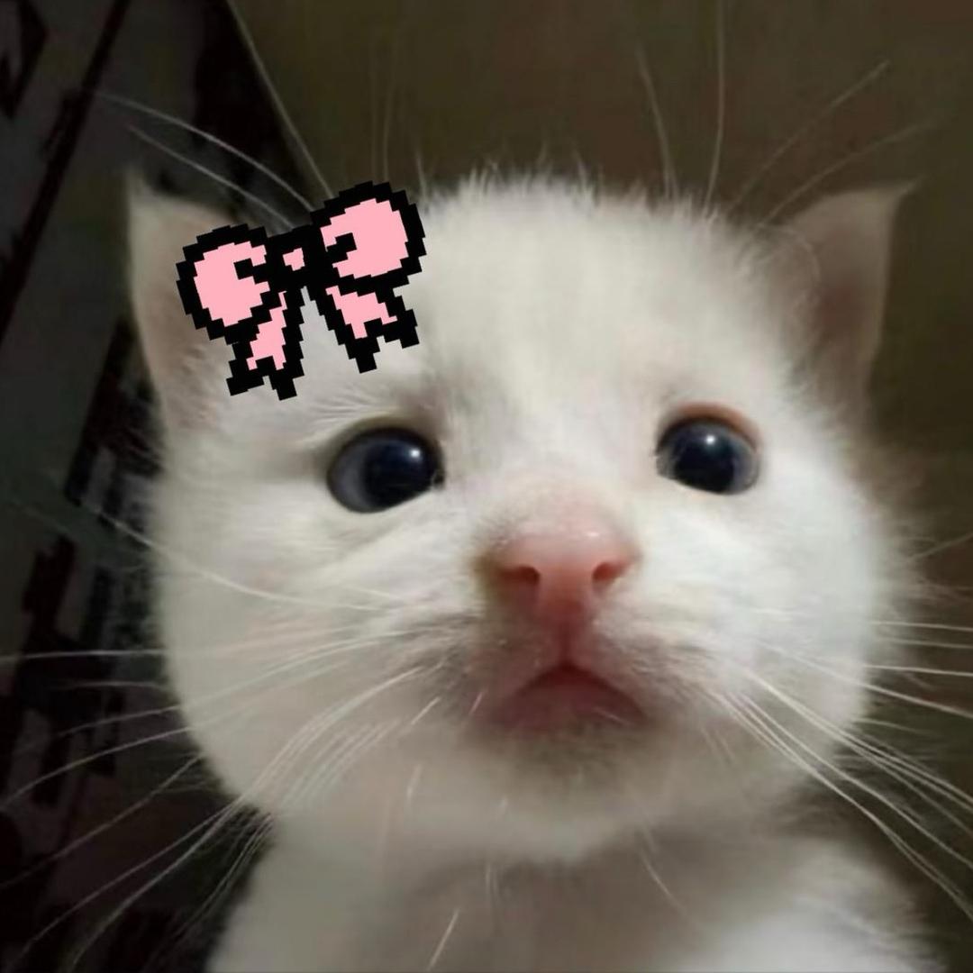 甜豆子