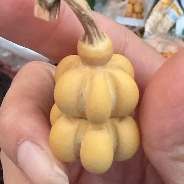 朱珠日常