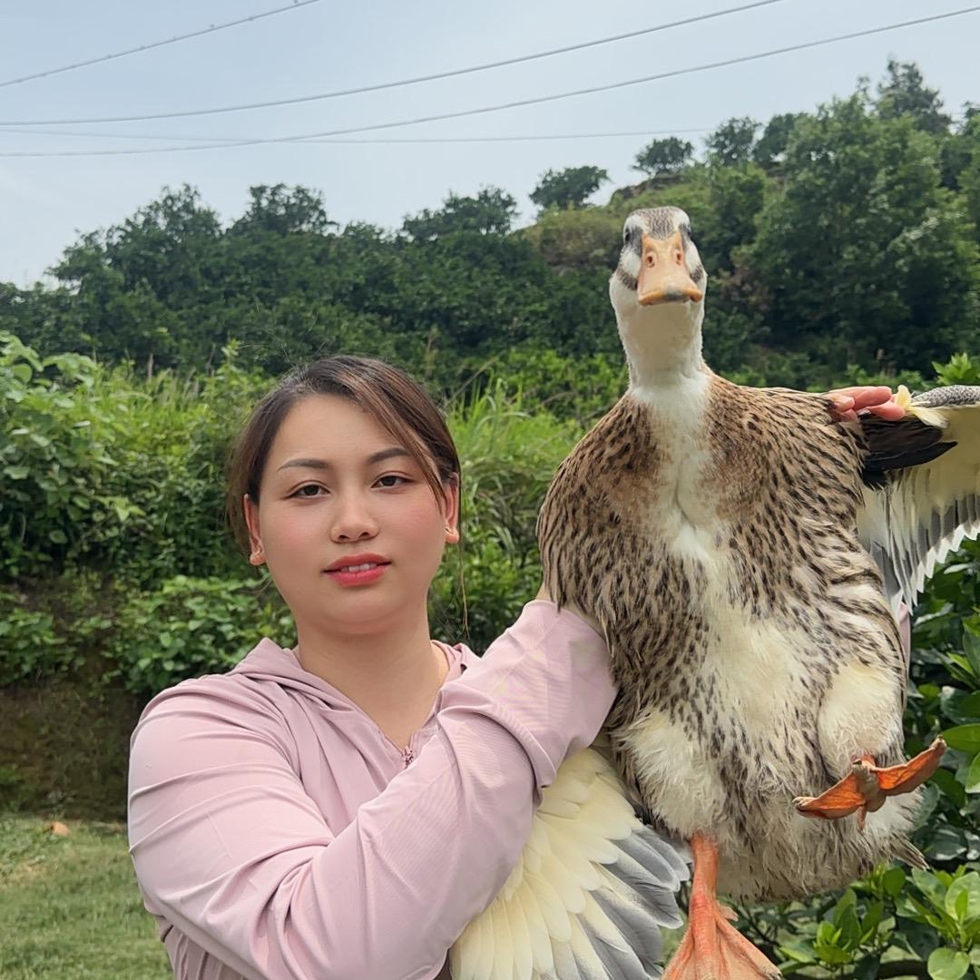 山村乡野美食