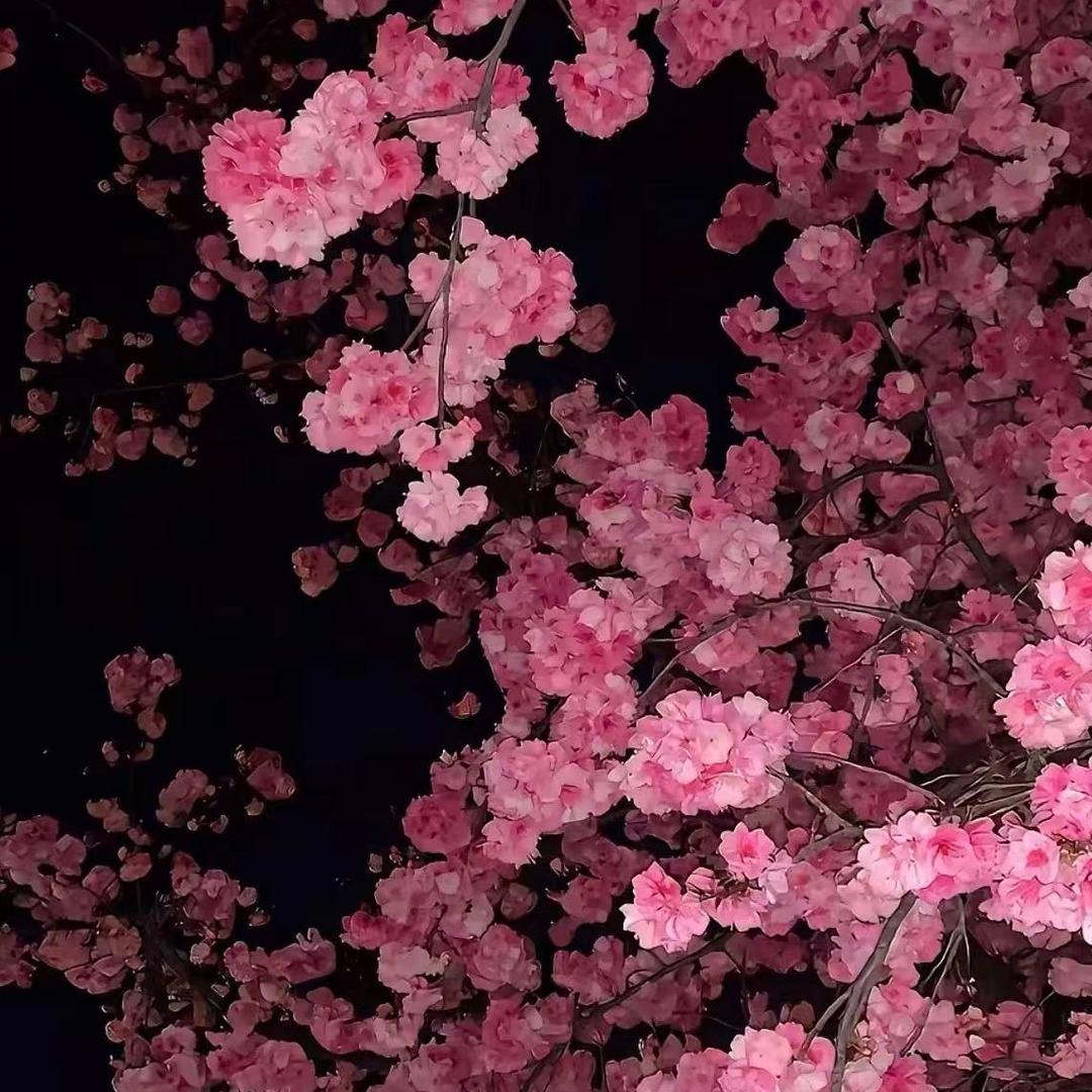 用户9853476328