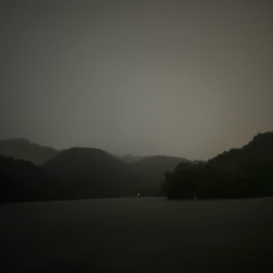 华尔街七鱼头像