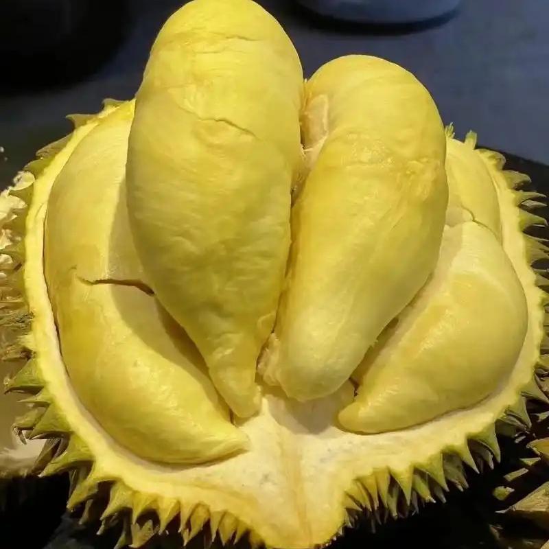 隆添鑫泰国百货