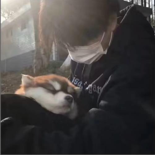 有¹¹¹点点想你