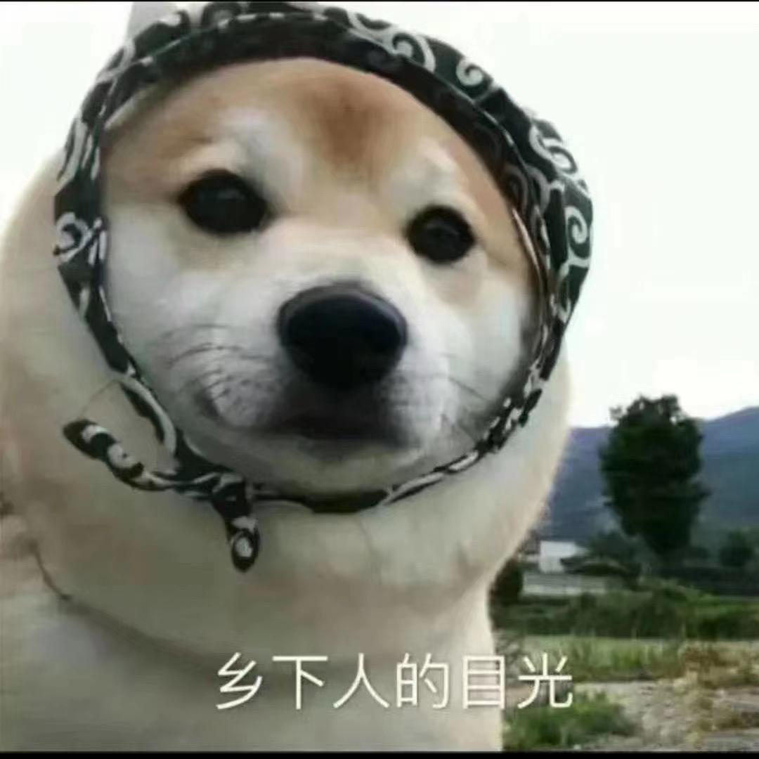 军哥