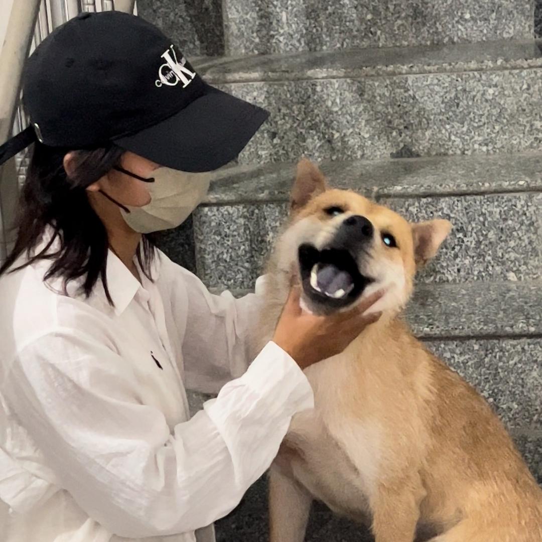 割克得了