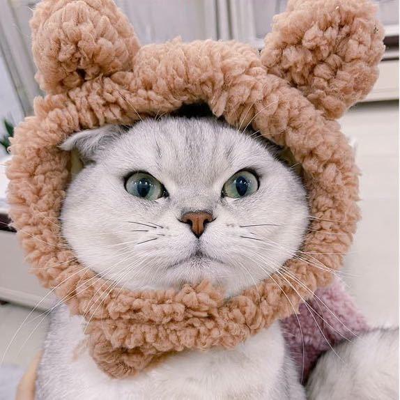 一只机器猫
