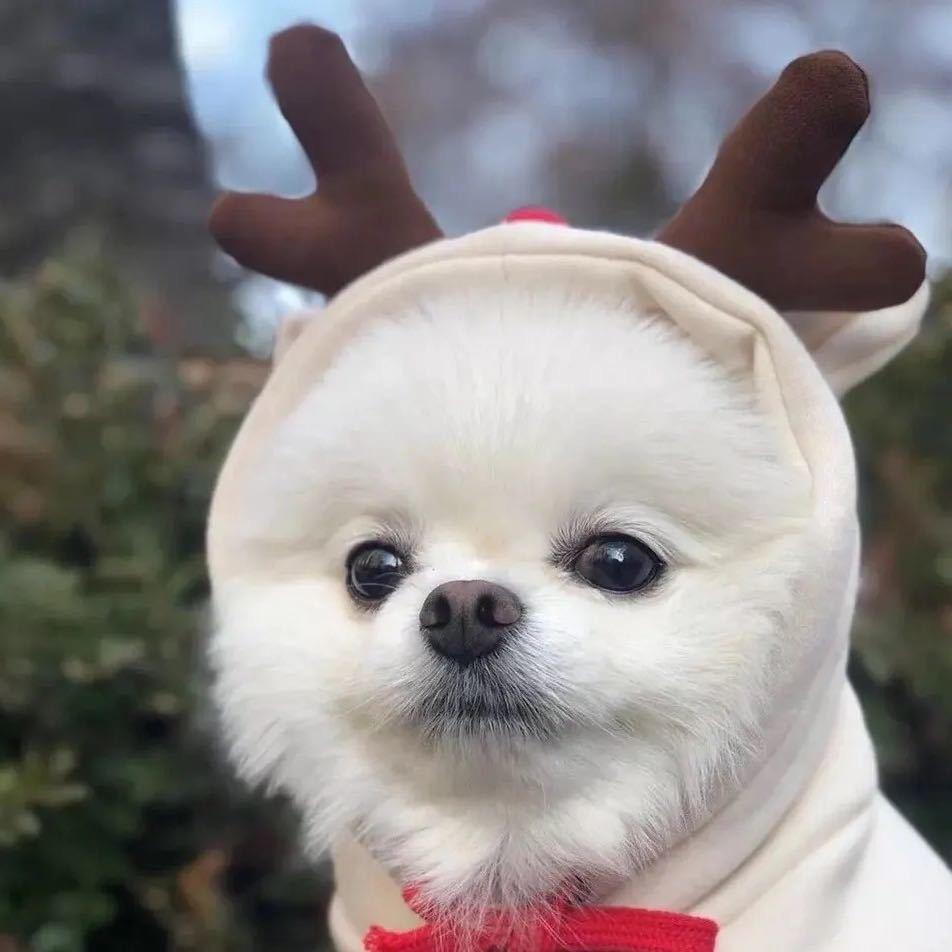 辉