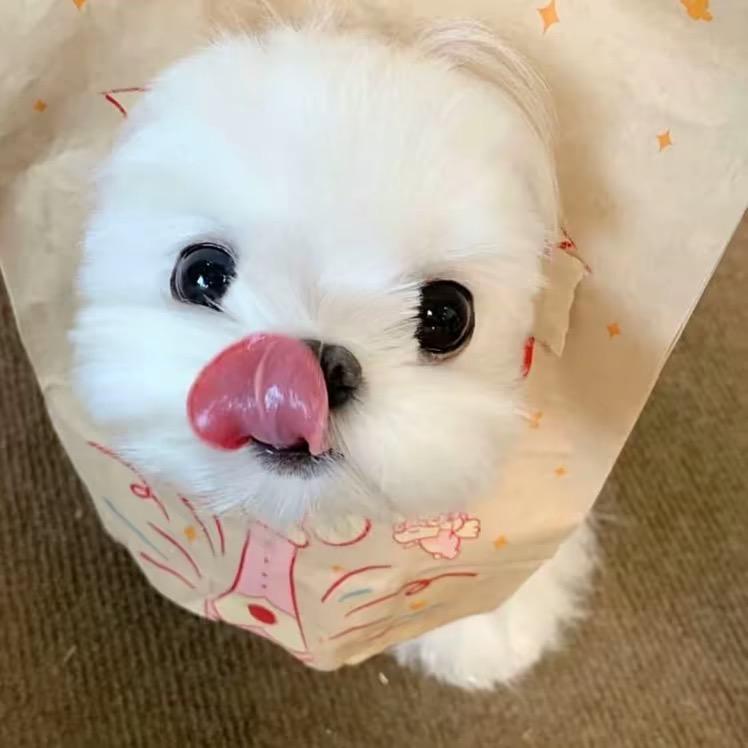 张府 善缘堂