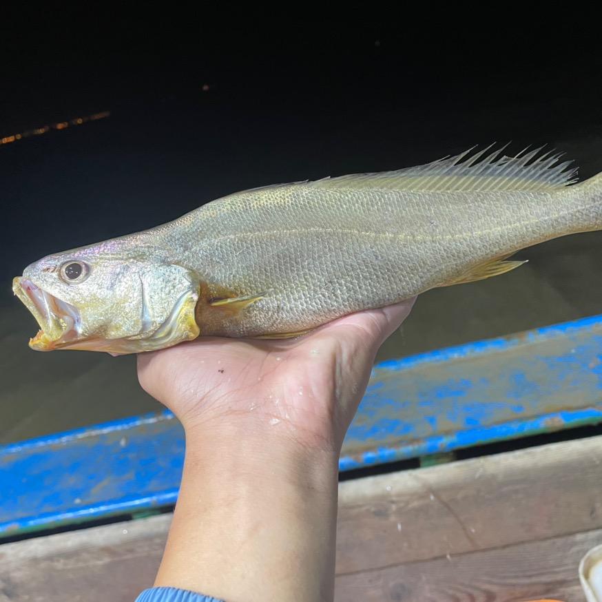 俞乐鲜海鲜优选