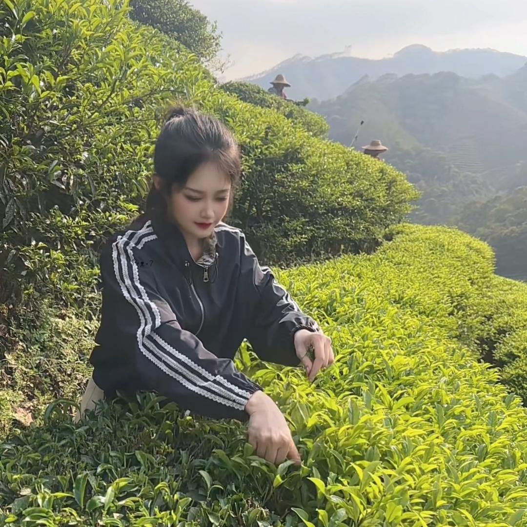 冰(香宇韵茶厂)