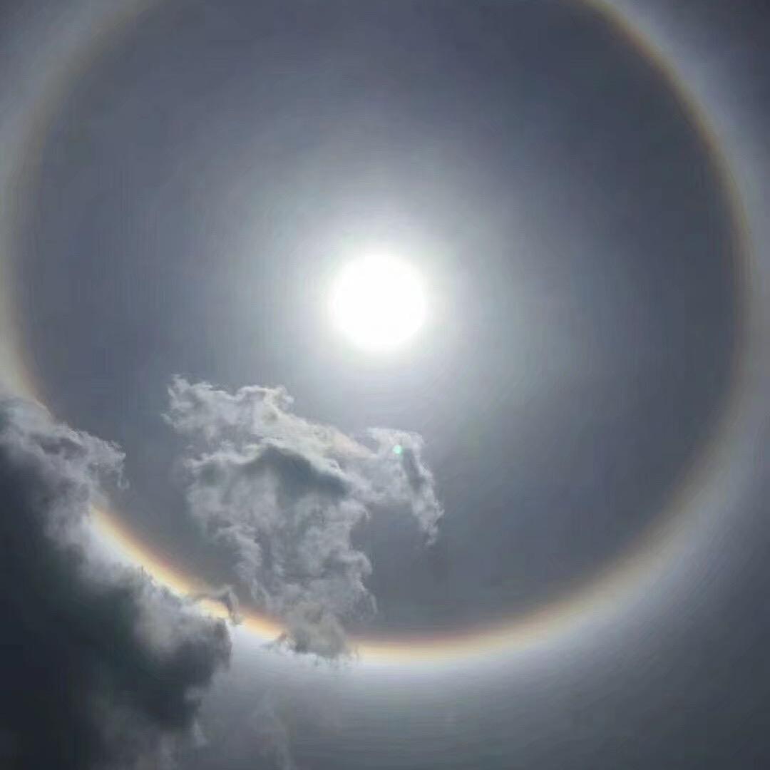 迷你小丸子