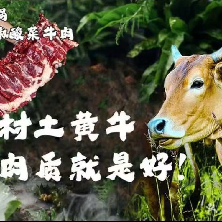 小陈哥·牛一锅青花椒酸菜牛肉·素菜自助