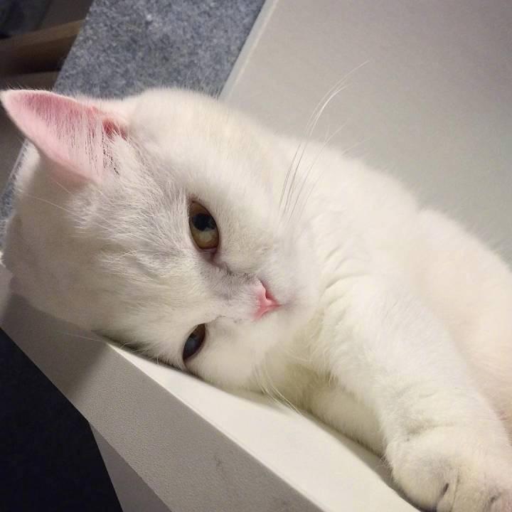 木森精选直播返场