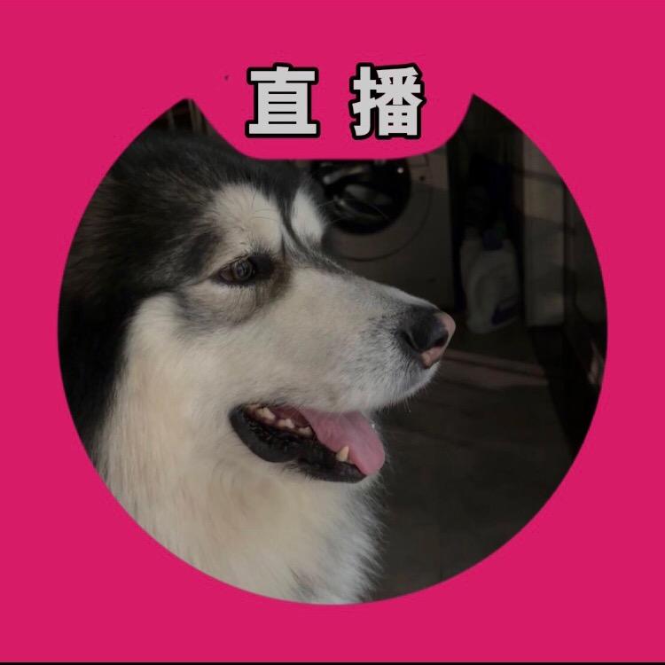 証汏铅