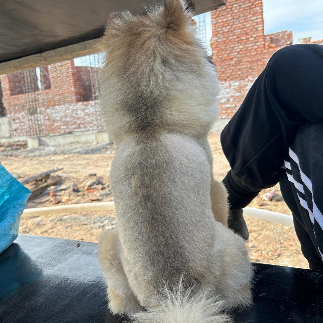 ✧ෆ田园居休闲娱乐小院