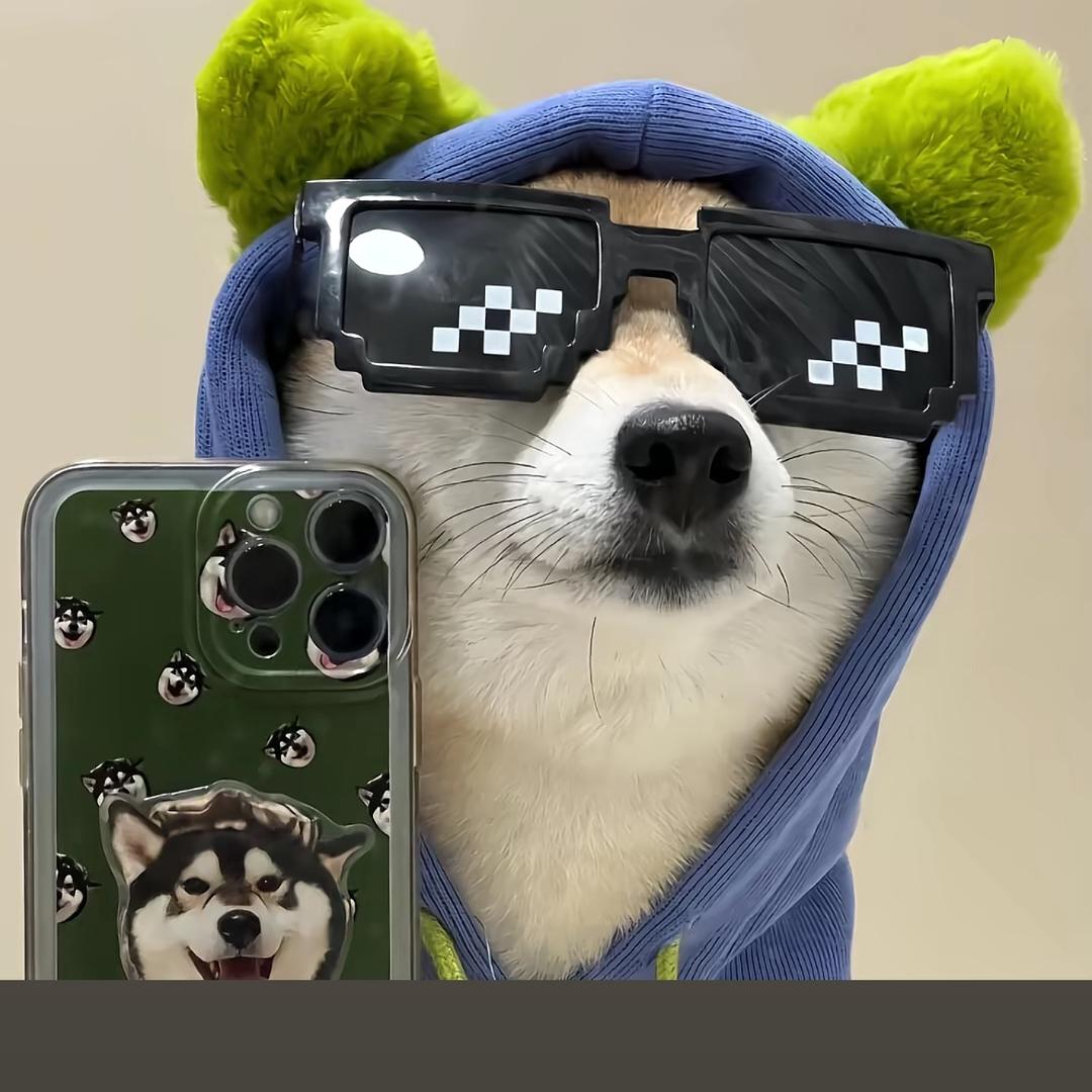 努力只为开上A6L🚗