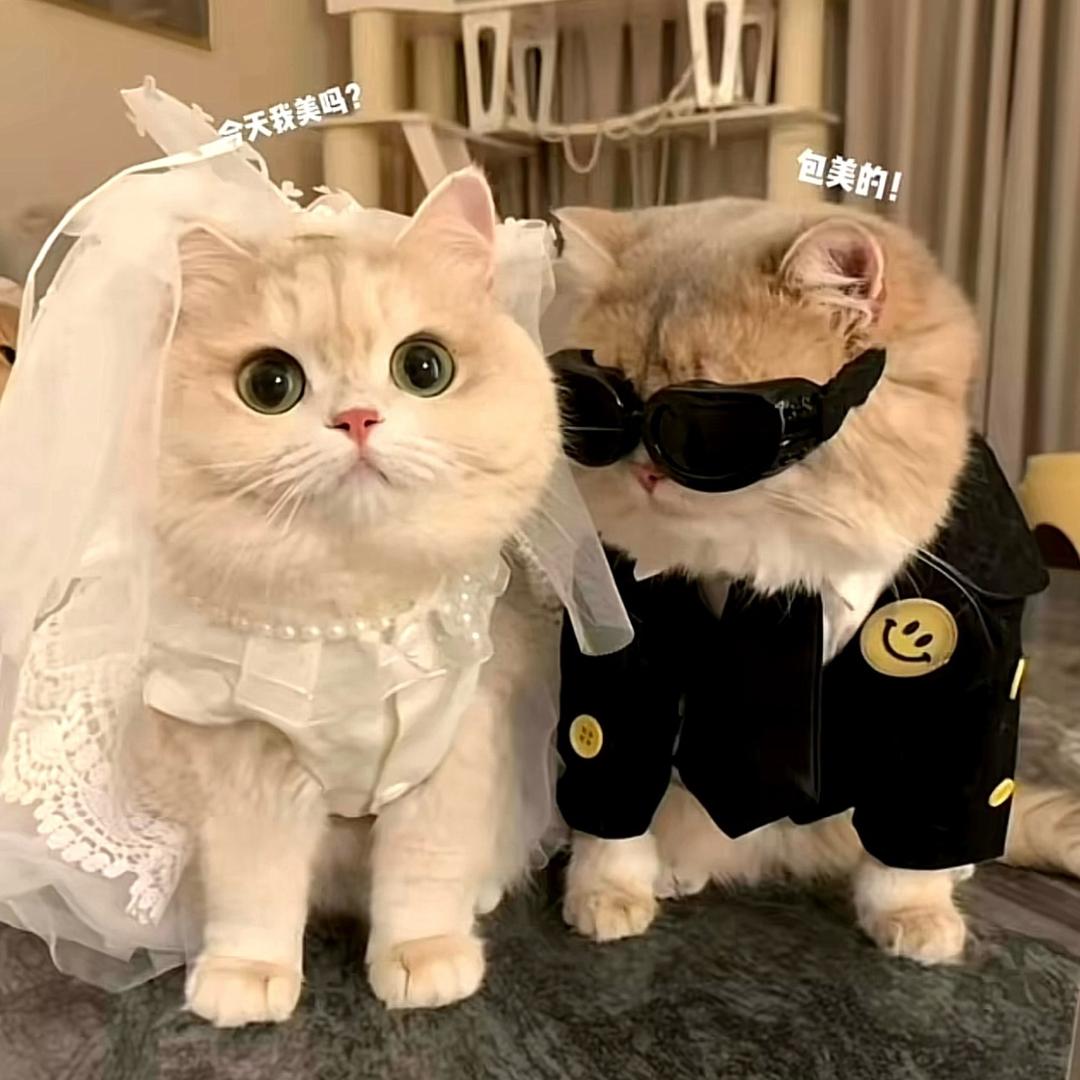 从小到大每天做梦