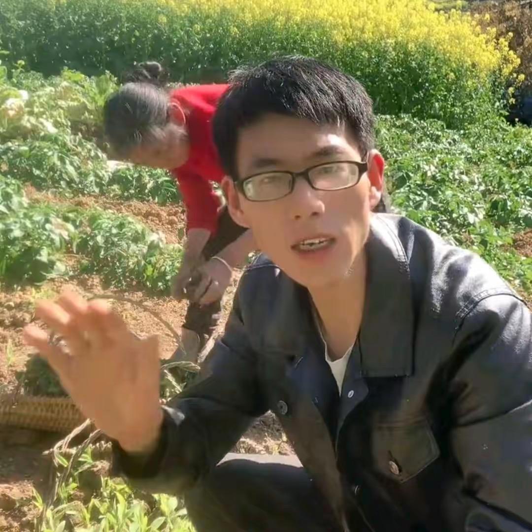 小波的后半生