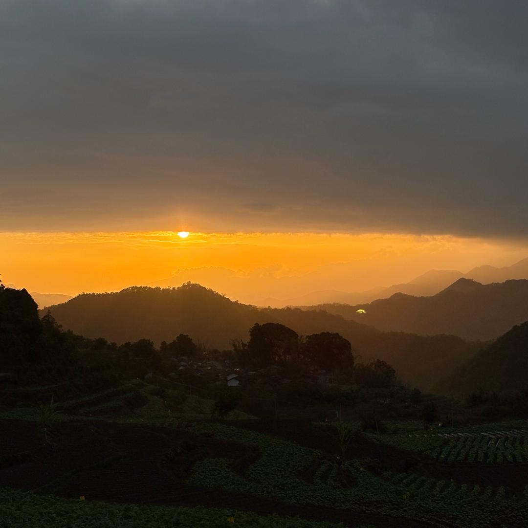茗凡
