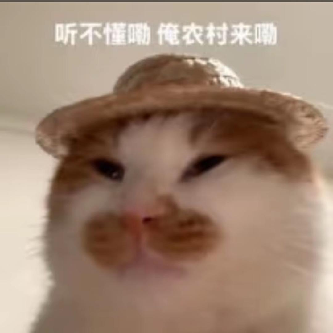 灿烈的灿