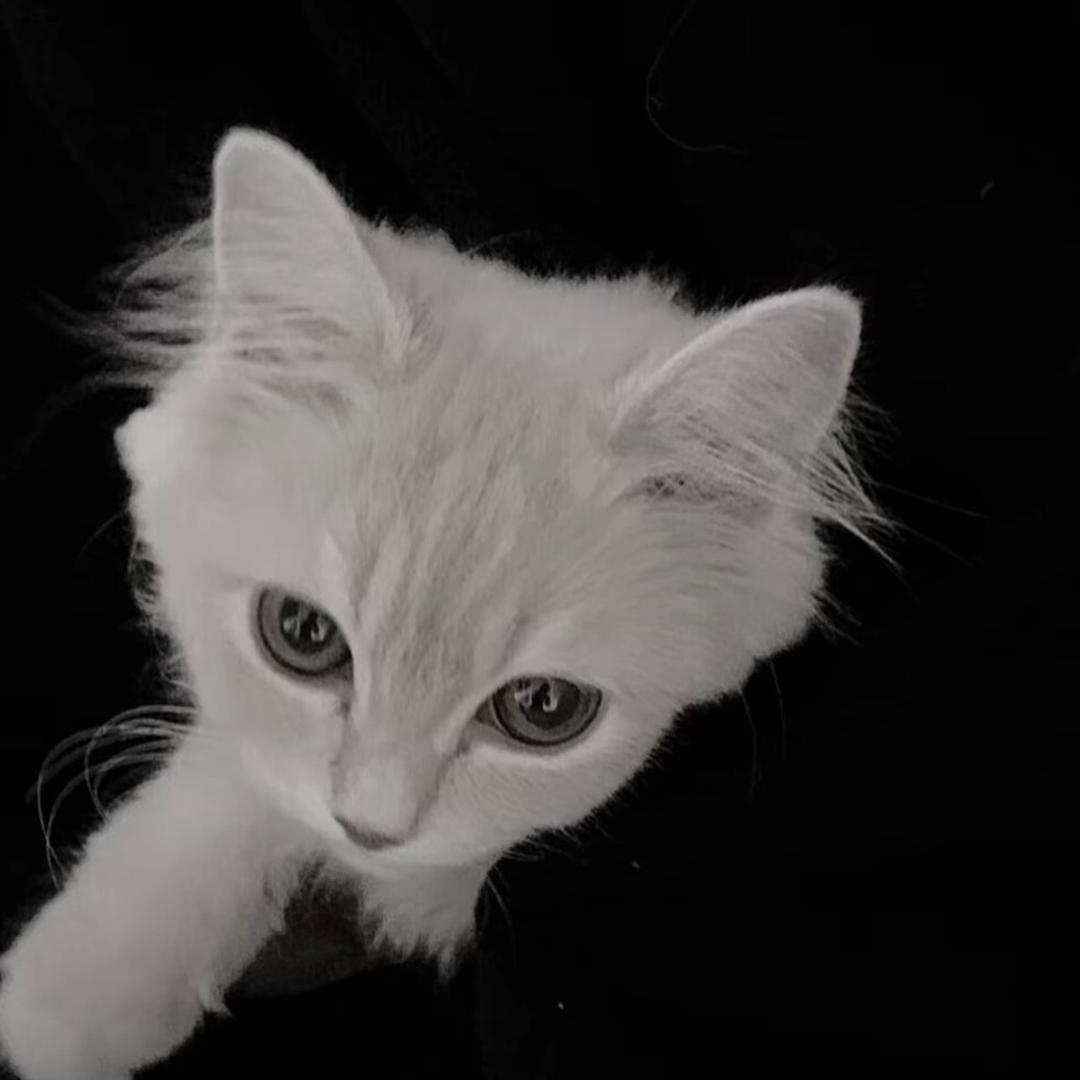 蒽