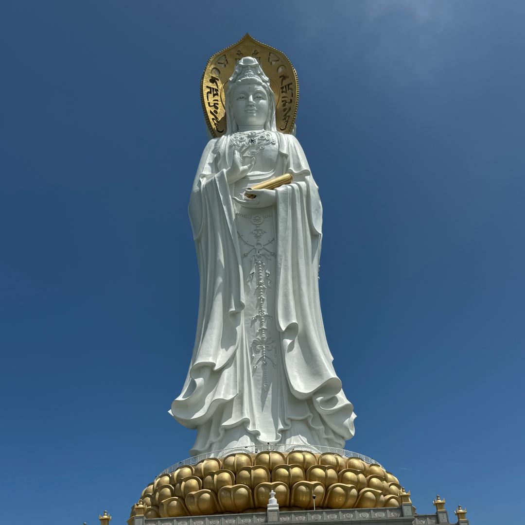 🫶菊