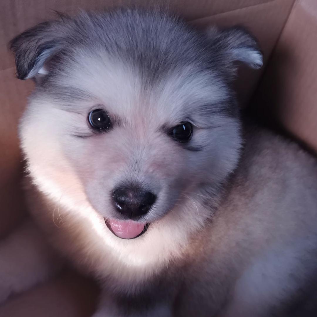 温暖的小院