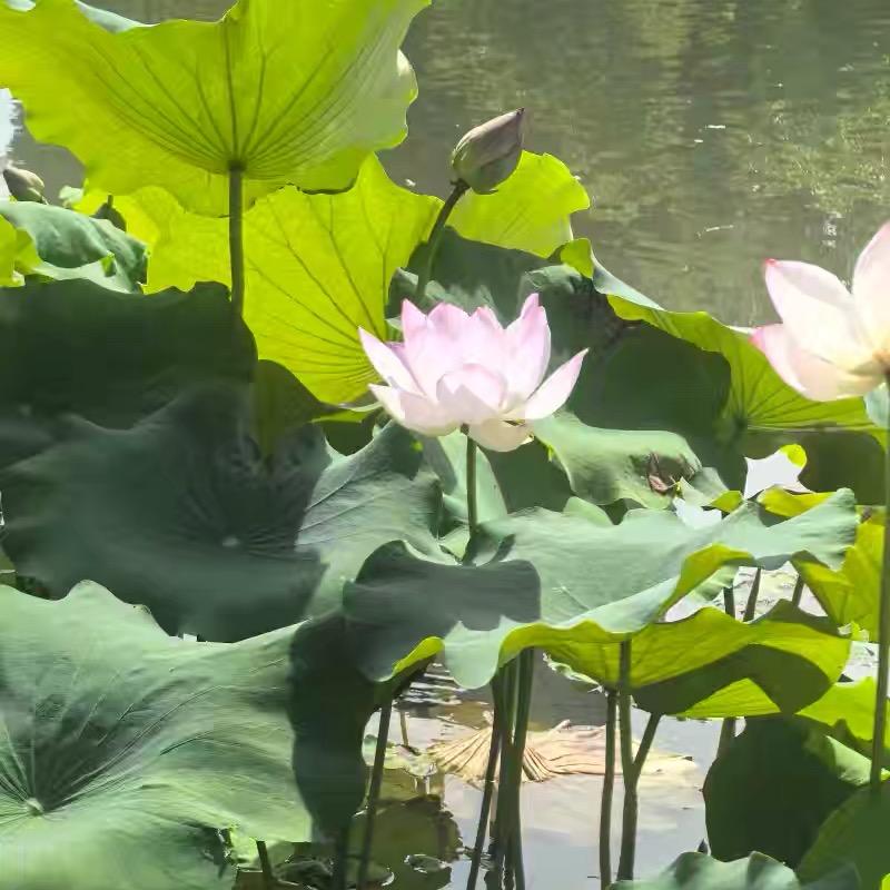 LiLi~李慧儿💕直播穿搭精选