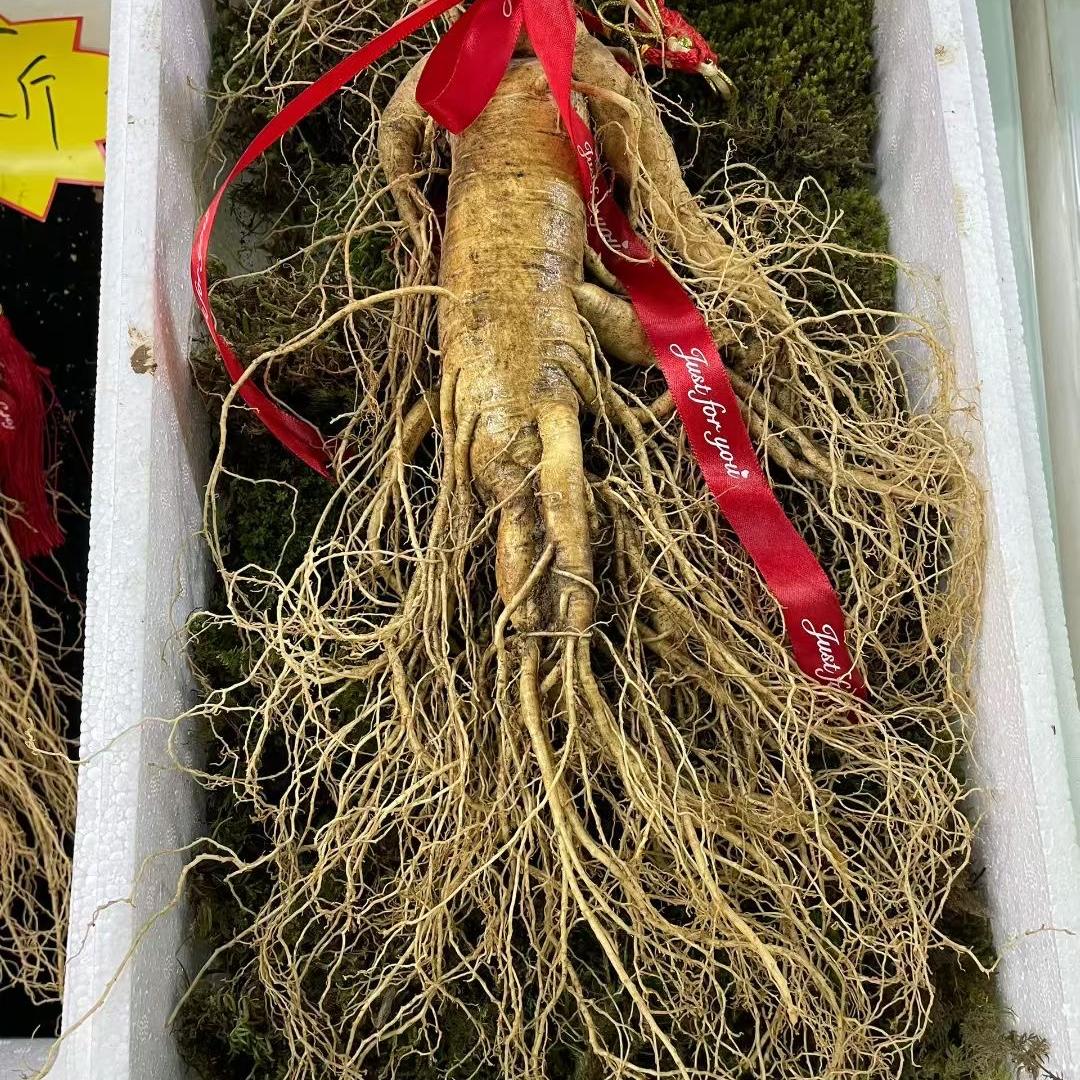 长白山铭聚滋补