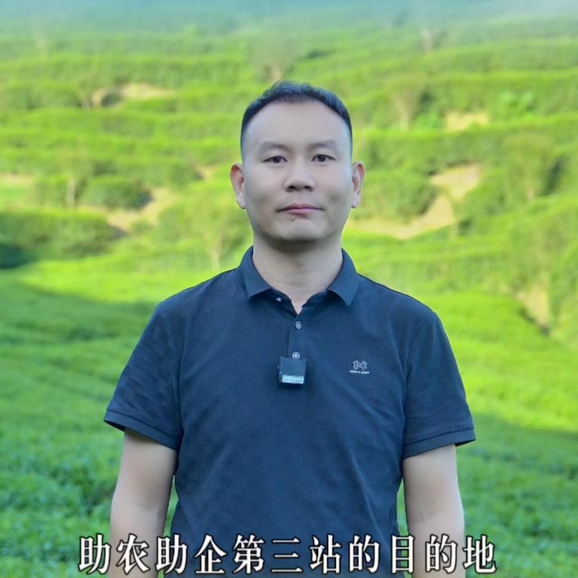蚕豆国际（助农助企）