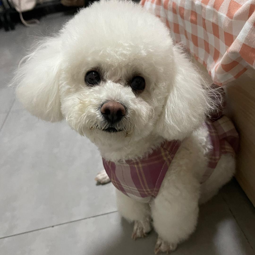 吃掉婴儿肥
