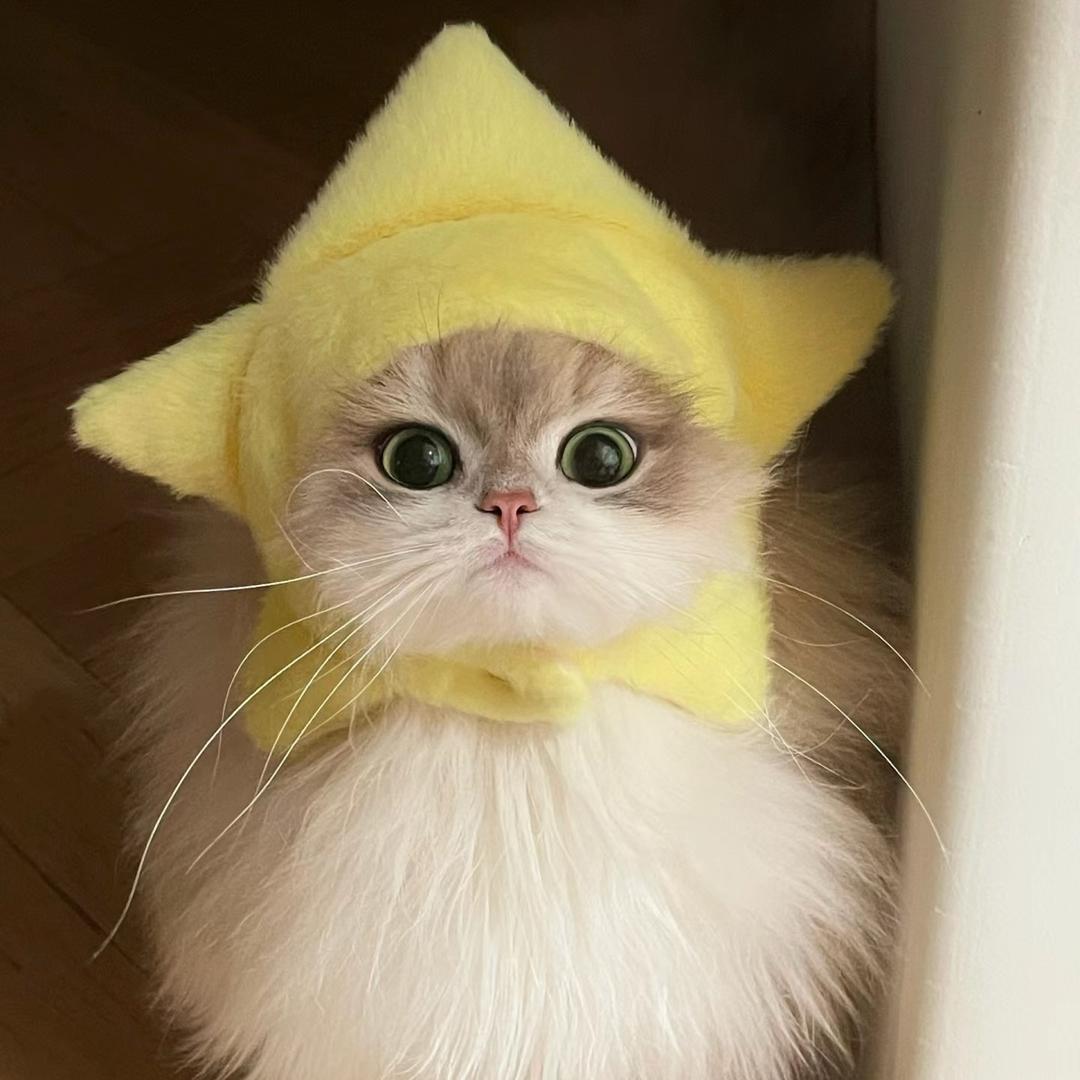 拾柒🤎