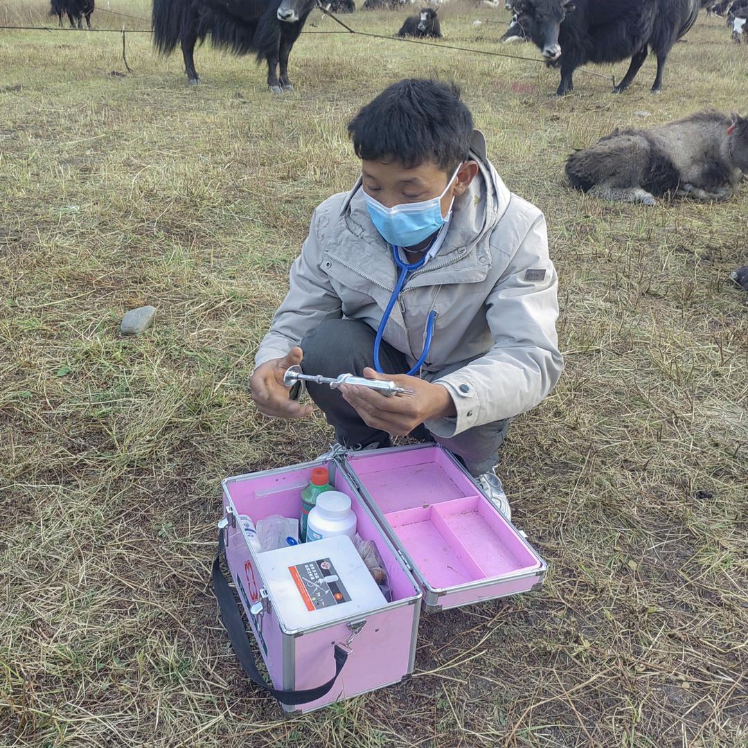 我就是牦牛医生，