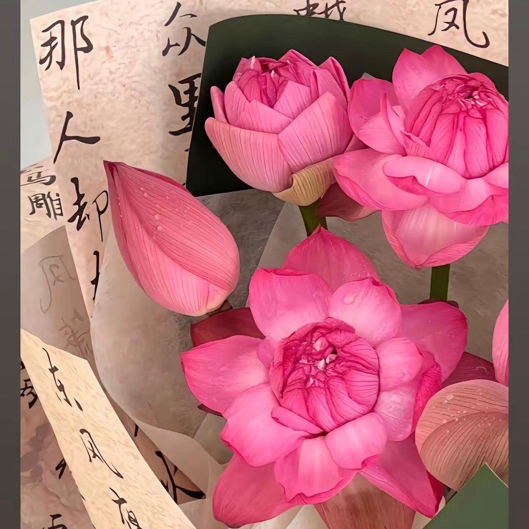 分享煲汤
