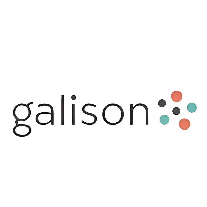 GalisonGalison拼图