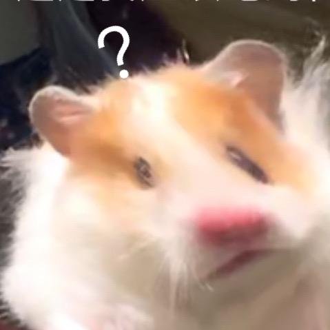 不能吃的芋圆芋泥