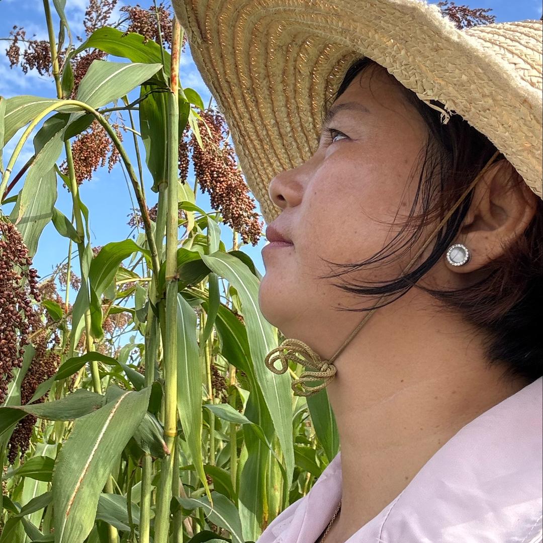 杨姐