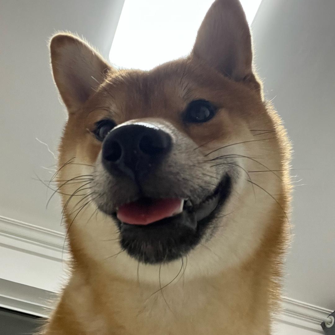 珍珍，