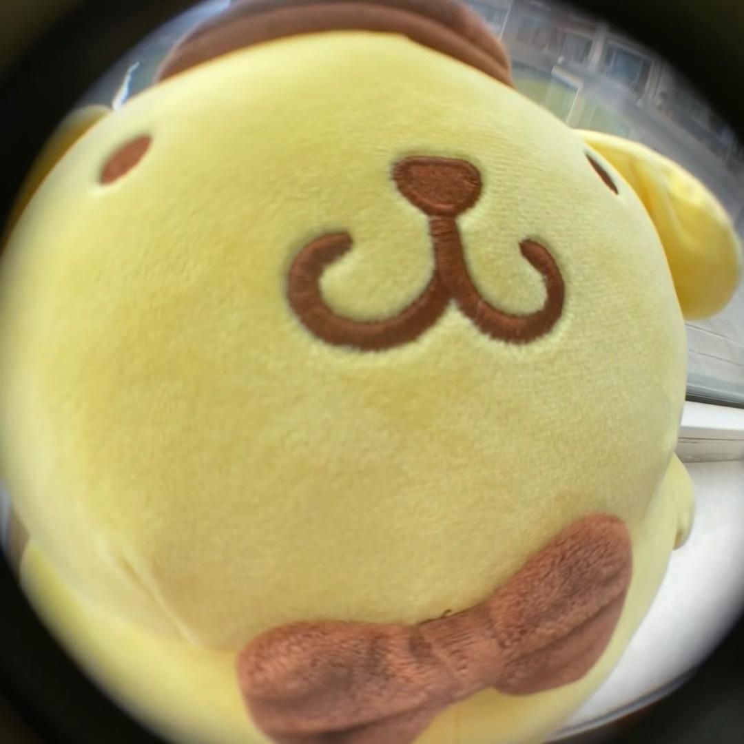 （// ▽  <）