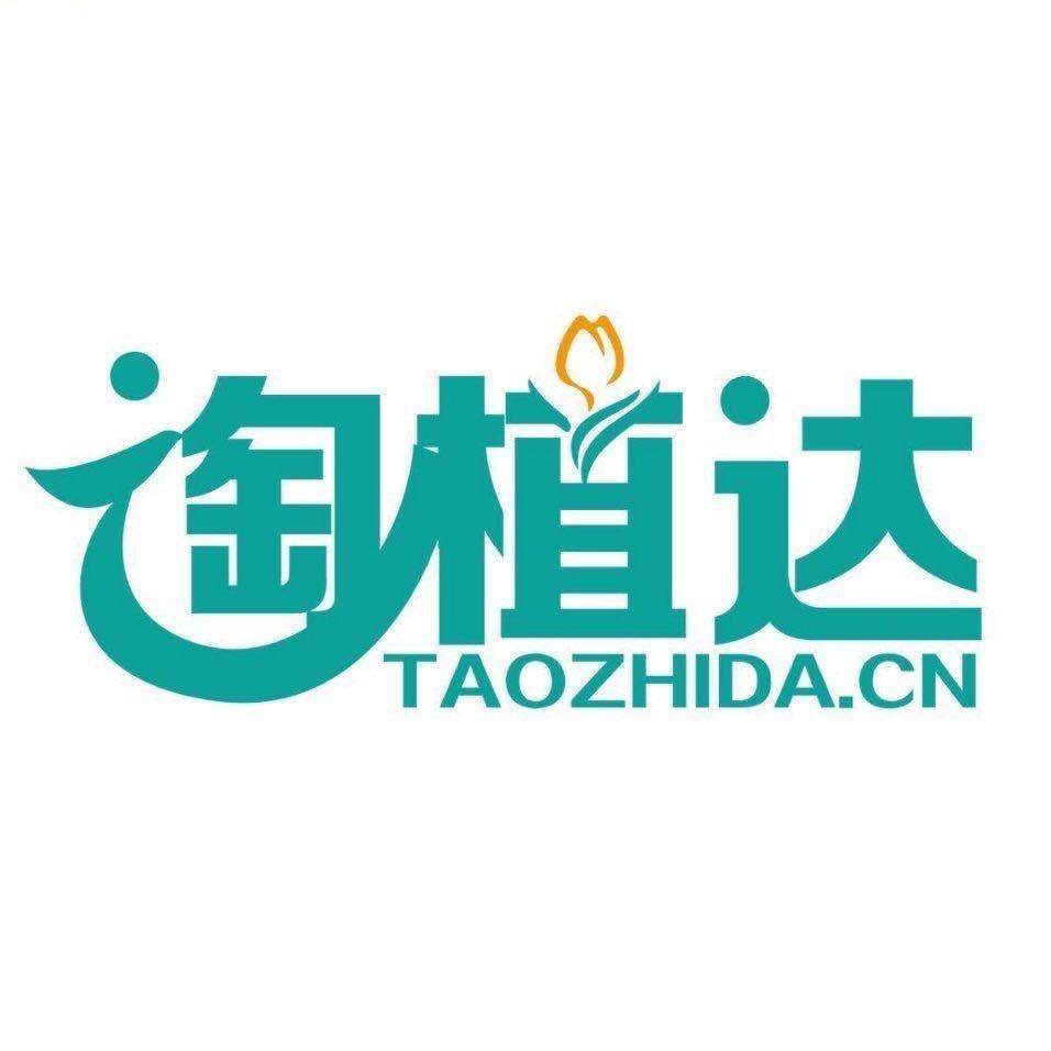 淘植达·绿植租赁