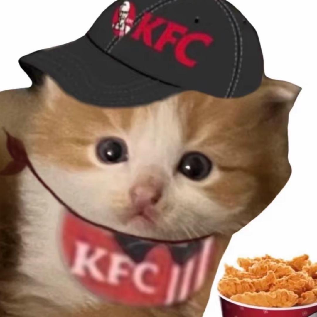 养只肥猫