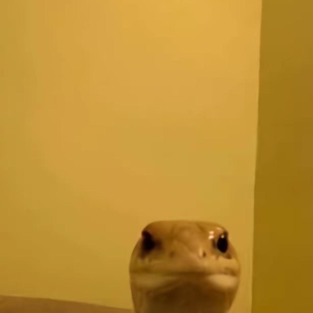 １1111