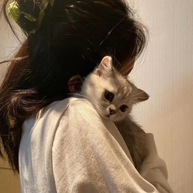 哈哈
