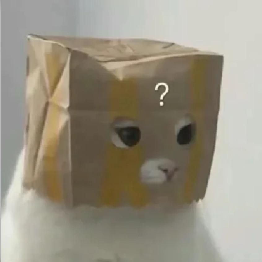 凌媛媛太爱睡觉了