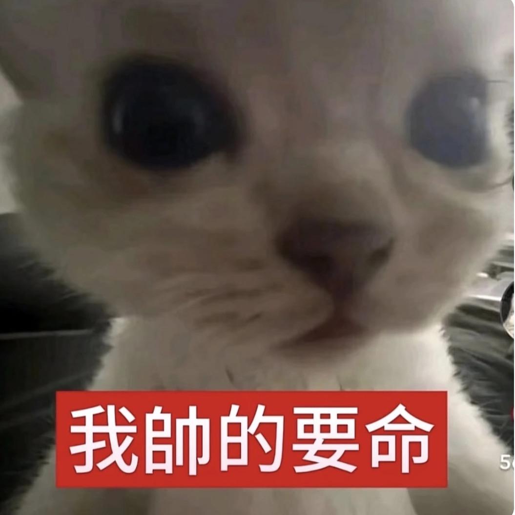 小悠欲