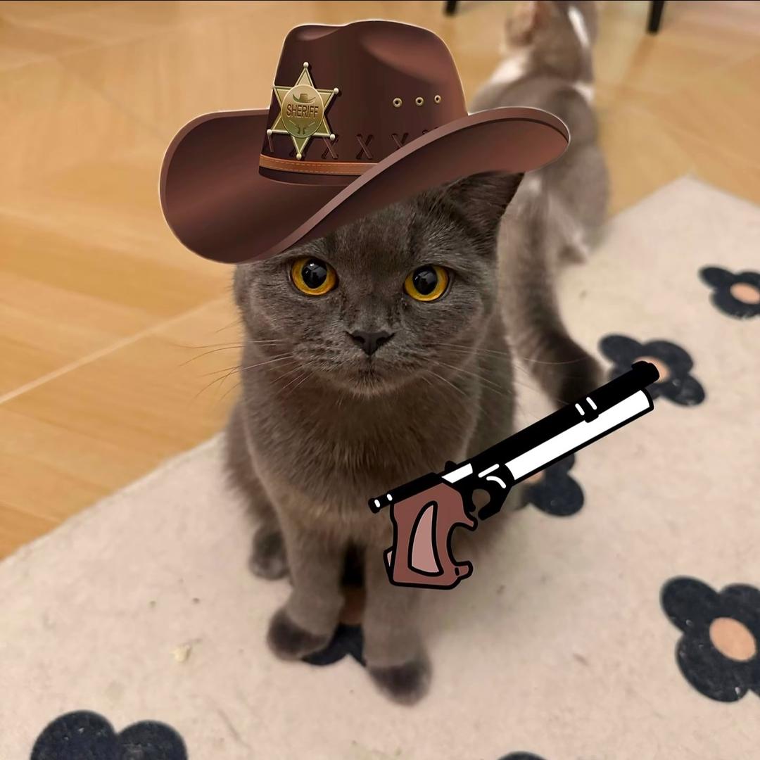哈吉人